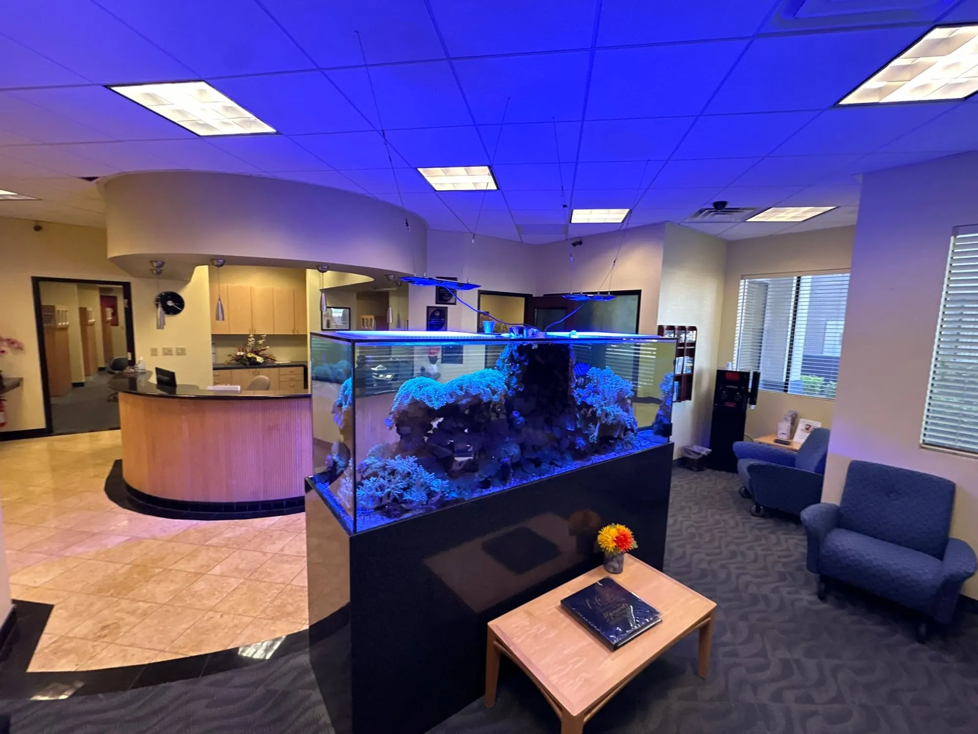 Waiting room with a large saltwater aquarium and armchairs, reception desk behind